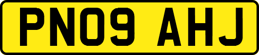 PN09AHJ
