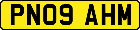 PN09AHM