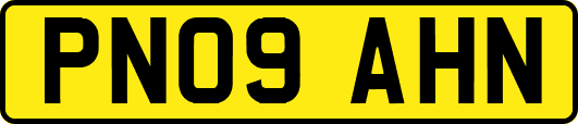 PN09AHN