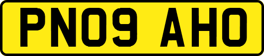 PN09AHO