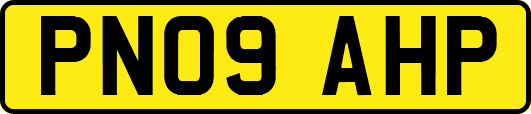 PN09AHP