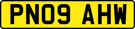 PN09AHW