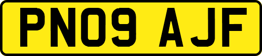 PN09AJF