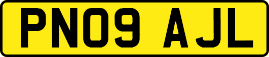 PN09AJL