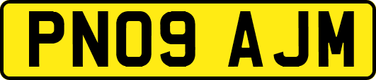 PN09AJM