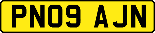 PN09AJN