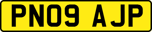PN09AJP