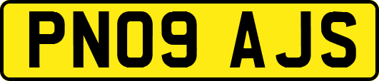 PN09AJS