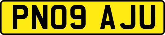 PN09AJU