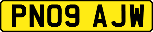 PN09AJW