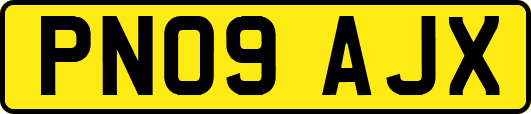 PN09AJX