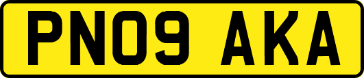 PN09AKA