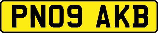 PN09AKB