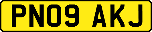 PN09AKJ