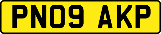 PN09AKP
