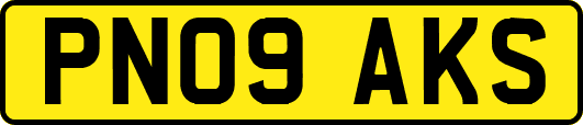 PN09AKS