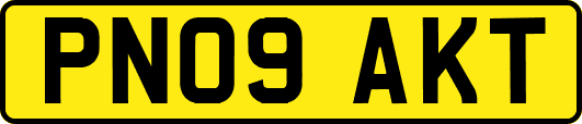 PN09AKT