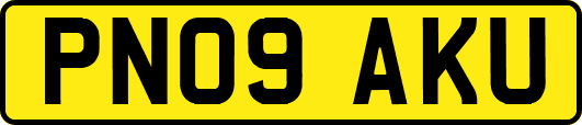 PN09AKU