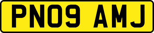 PN09AMJ