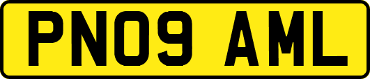 PN09AML