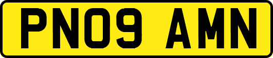 PN09AMN