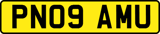 PN09AMU