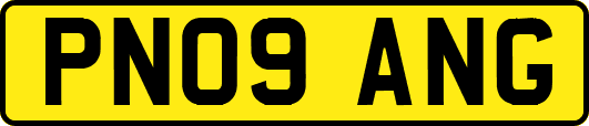 PN09ANG