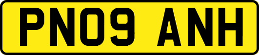 PN09ANH