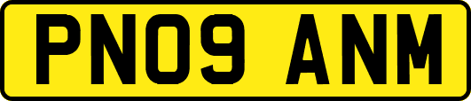 PN09ANM