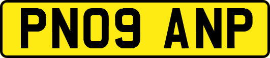PN09ANP