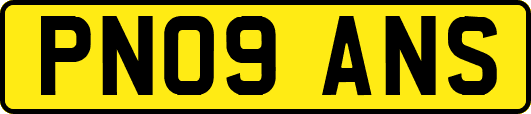 PN09ANS