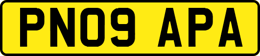 PN09APA