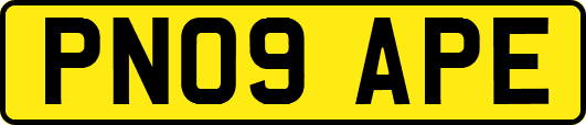 PN09APE