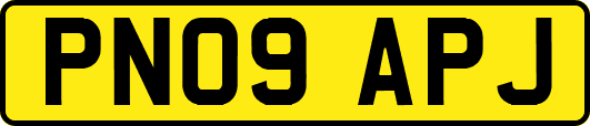 PN09APJ