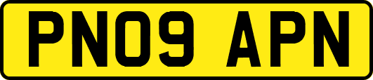 PN09APN