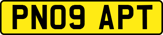 PN09APT