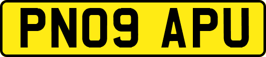 PN09APU