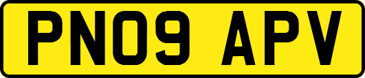 PN09APV