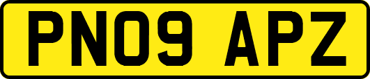 PN09APZ