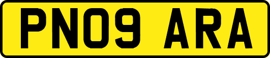PN09ARA