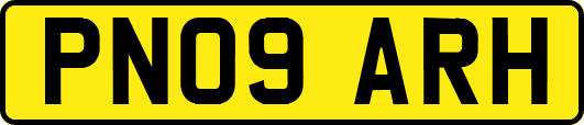 PN09ARH