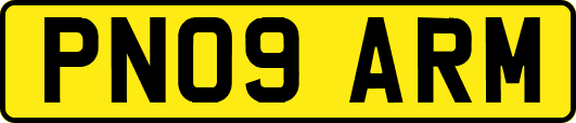 PN09ARM