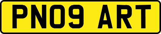 PN09ART