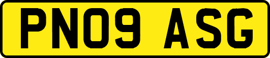 PN09ASG