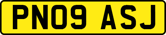 PN09ASJ