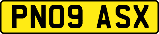PN09ASX