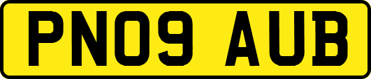 PN09AUB