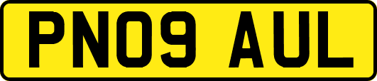 PN09AUL