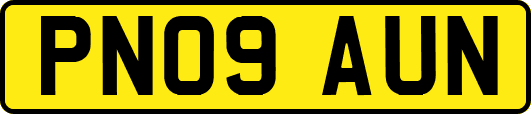 PN09AUN