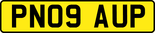 PN09AUP